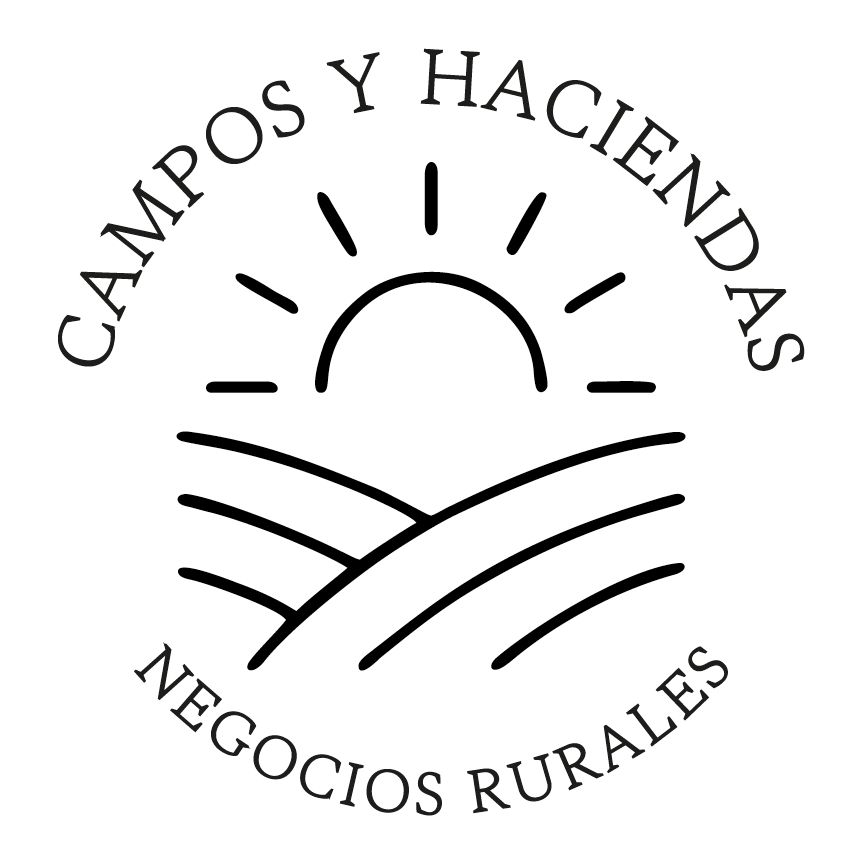 Logo escritorio conjunto